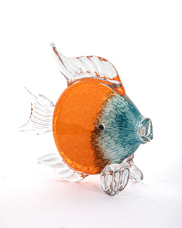 Cam Balık Turuncu Turkuaz