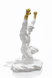 GOLD ELDİVENLİ BOKSÖR BÜST