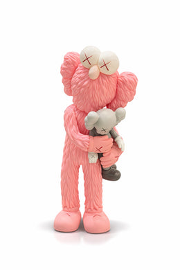 Pembe Çocuklu Kaws