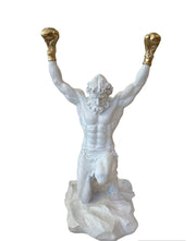 GOLD ELDİVENLİ BOKSÖR BÜST