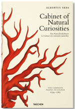 cabinet-of-natural-curiosities-taschen-kitap-dekorasyon