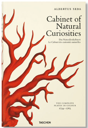 cabinet-of-natural-curiosities-taschen-kitap-dekorasyon