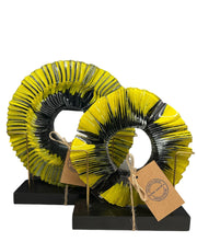 2'Lİ SARI CAM DİSK