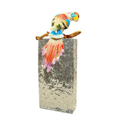 Cam Kaideli Anka Kuşu Dikey