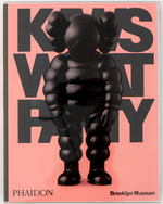 kaws-what-party-dekoratif-kitap-luks-cagdas-sanat-toy-art-arsivi