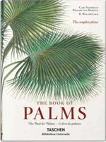 the-book-of-palms-botanik-sanat-kitabi