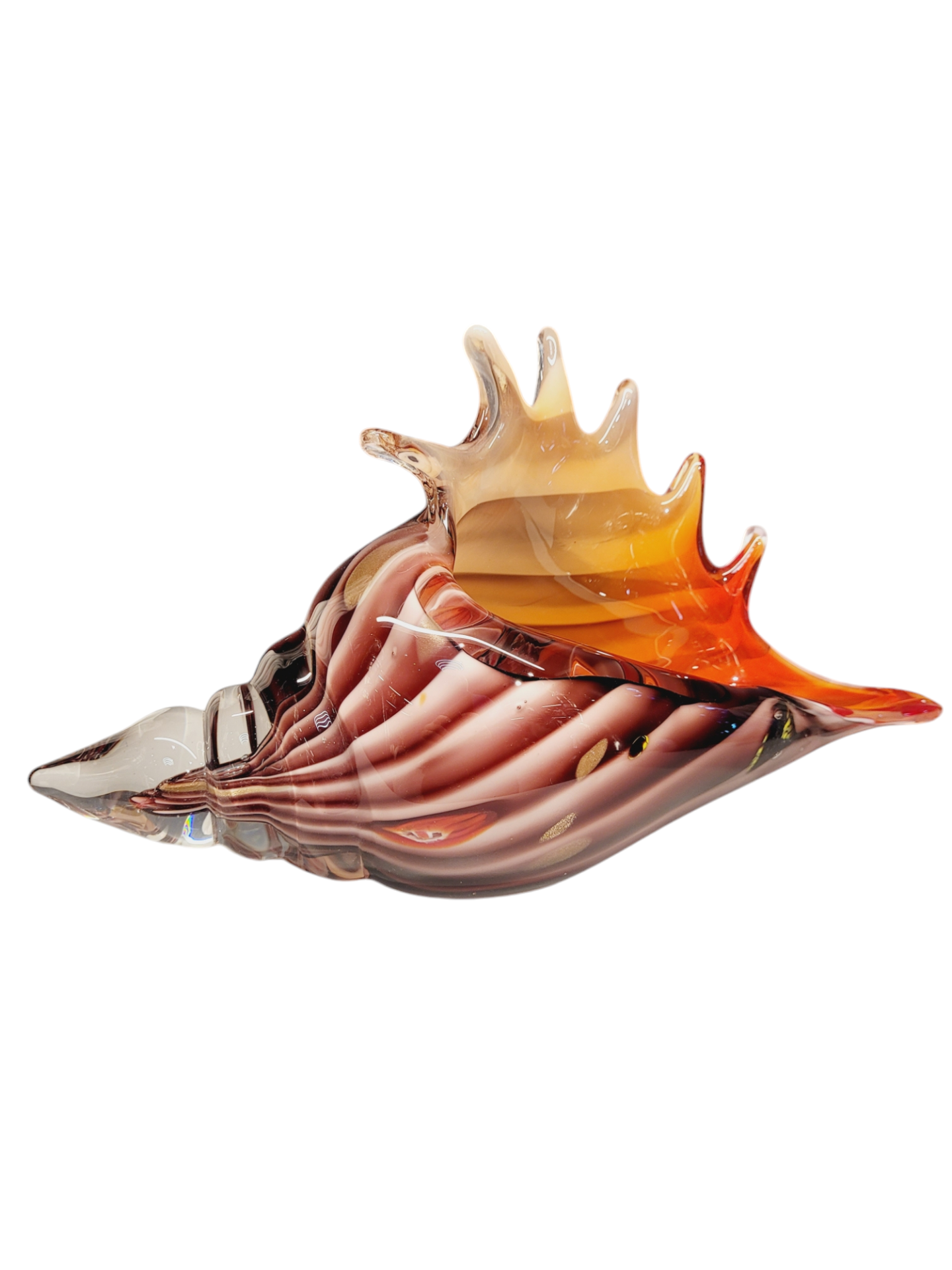 Cam Deniz Kabuğu